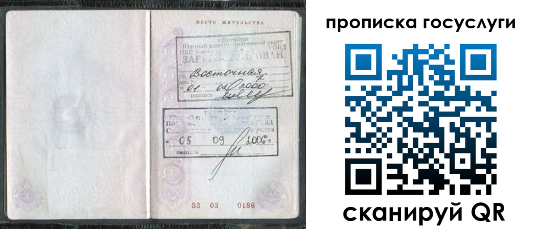 временная регистрация для школы в Апатитах